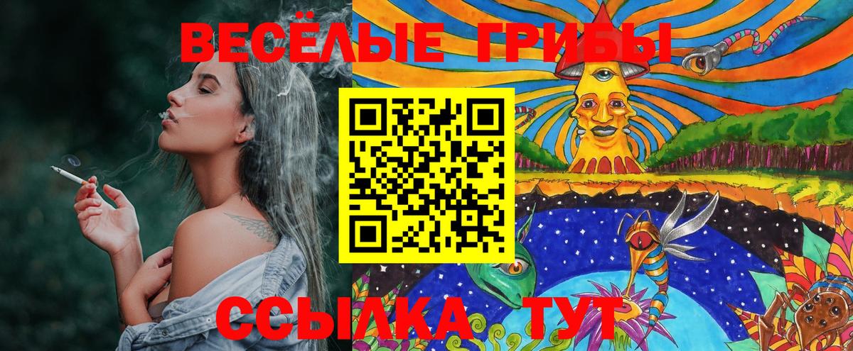 Альметьевск  Псилоцибиновые грибы MAGIC MUSHROOMS  закладки  Вход с VPN 